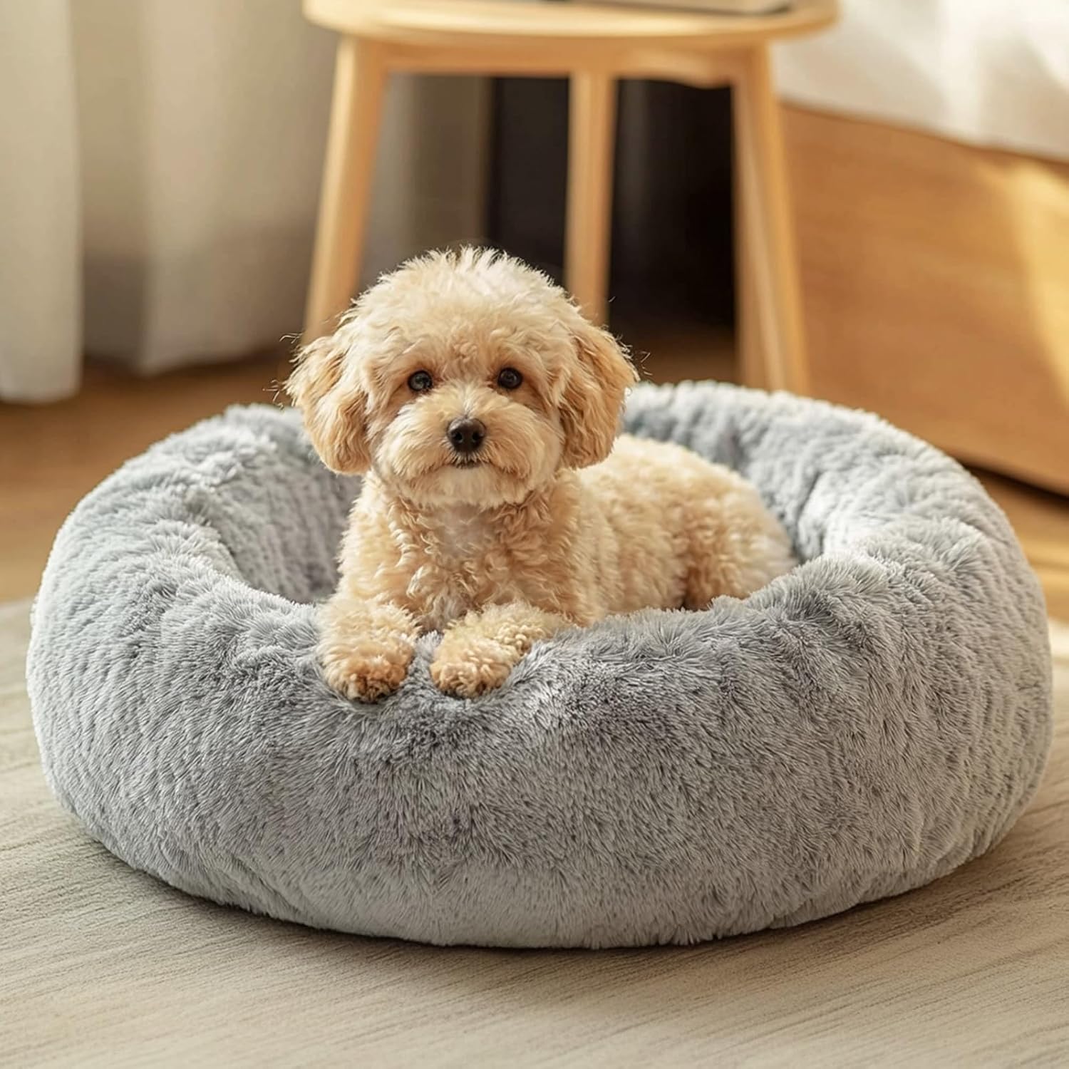 Budget Small Dog Bed – Best Budget Pick