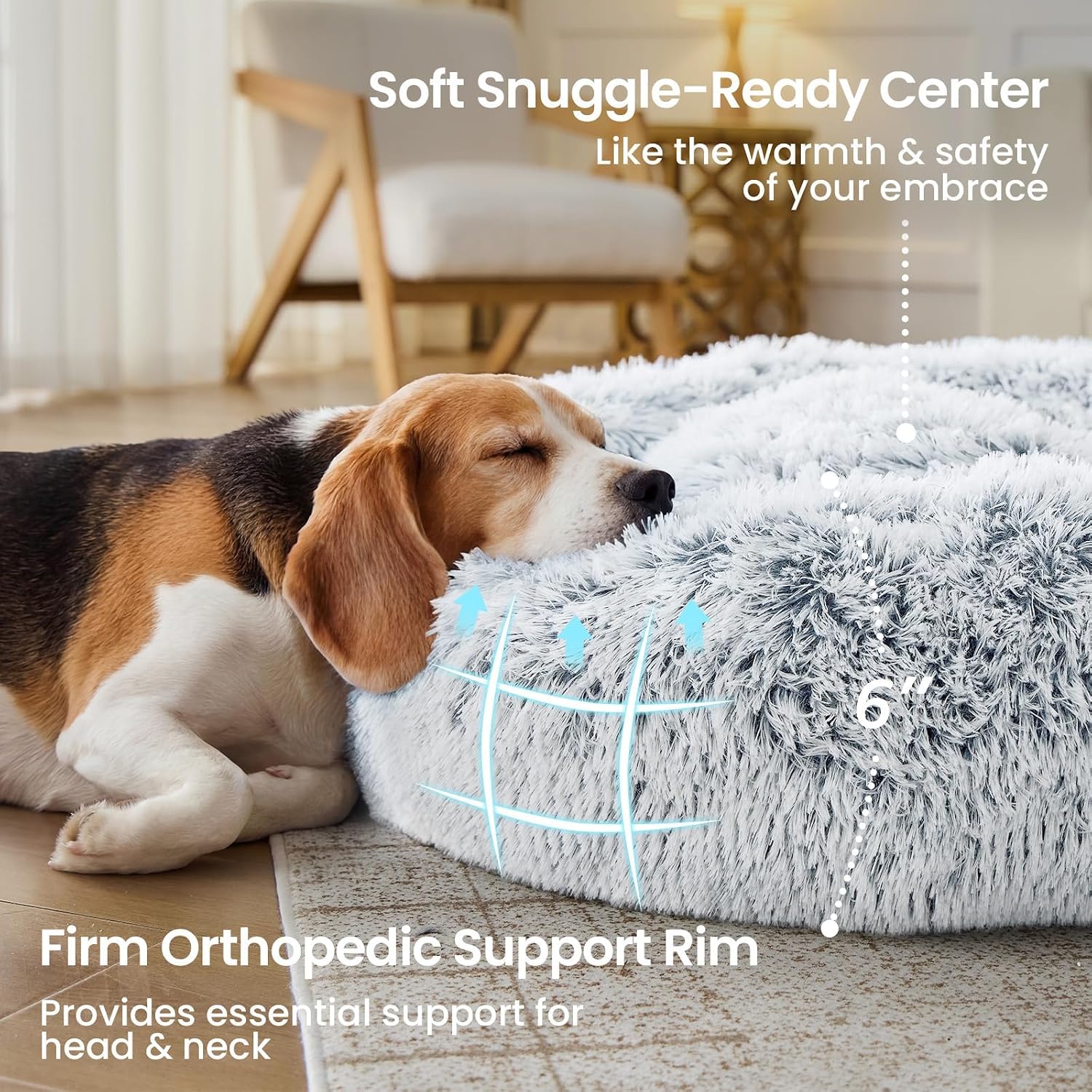 Budget Small Dog Bed – Best Budget Pick thumbnail 2