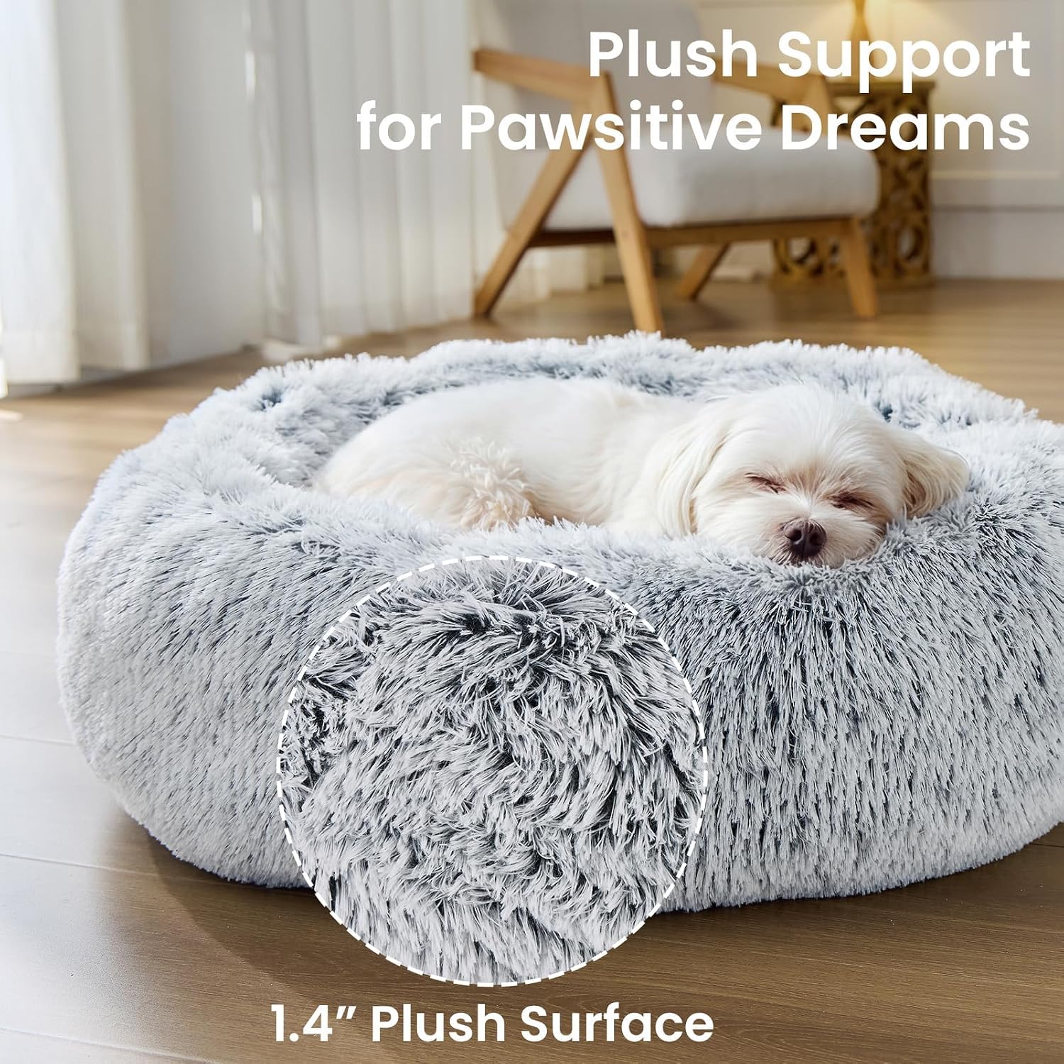 Budget Small Dog Bed – Best Budget Pick thumbnail 3