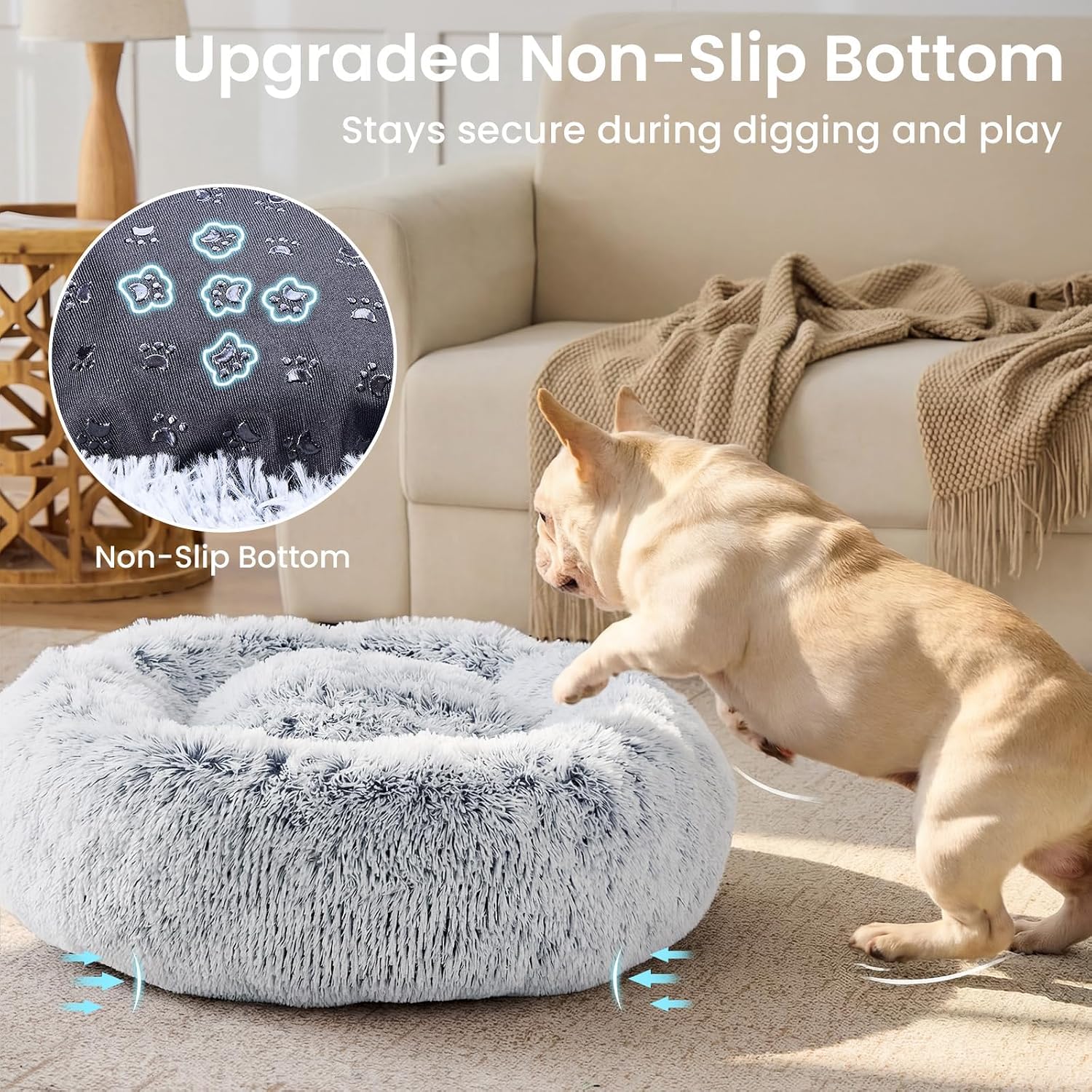 Budget Small Dog Bed – Best Budget Pick thumbnail 4